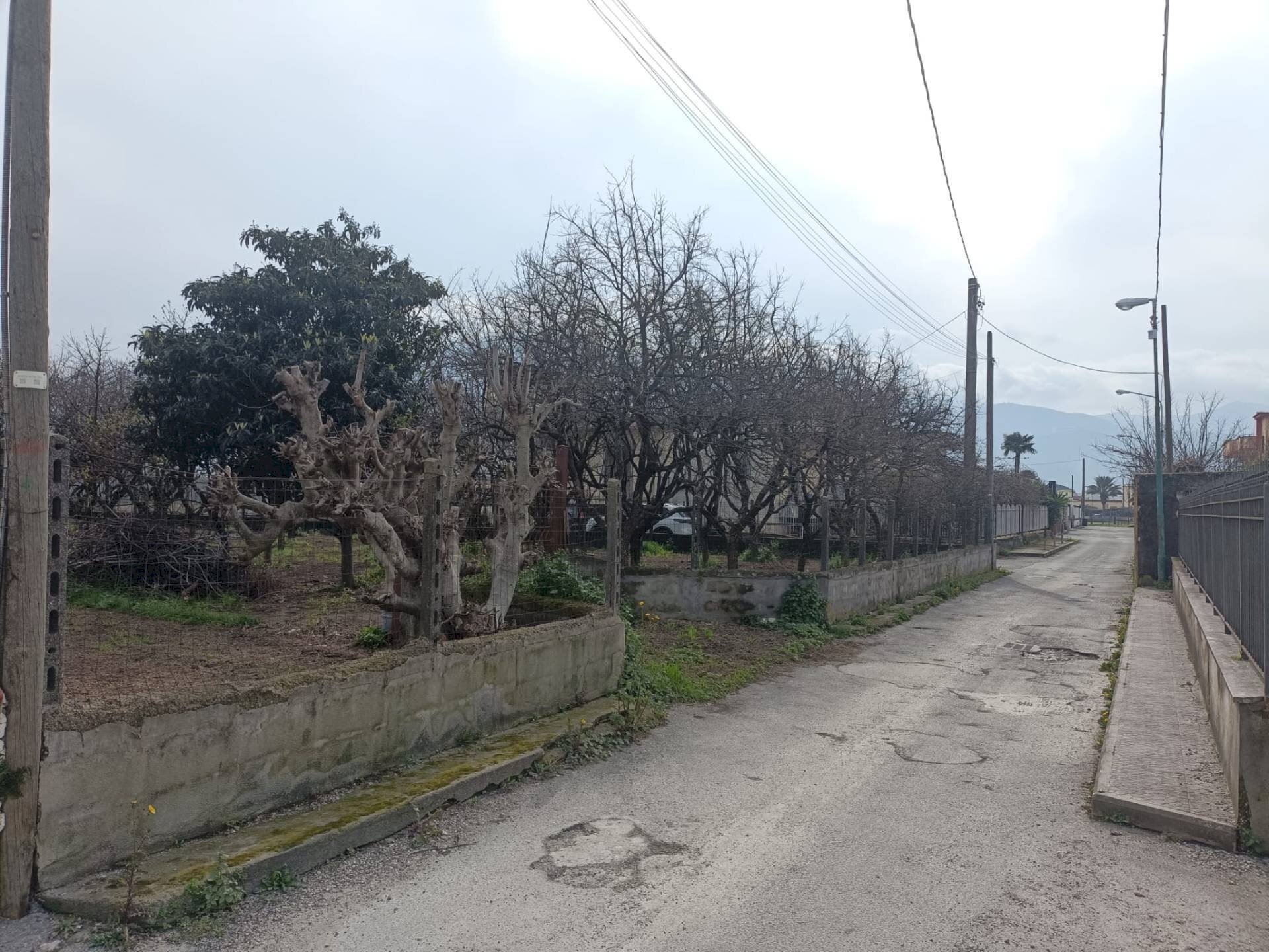 Foto 1 - Agricultural land VIA CRISTOFORO COLOMBO
 
31, Scafati - photo 1