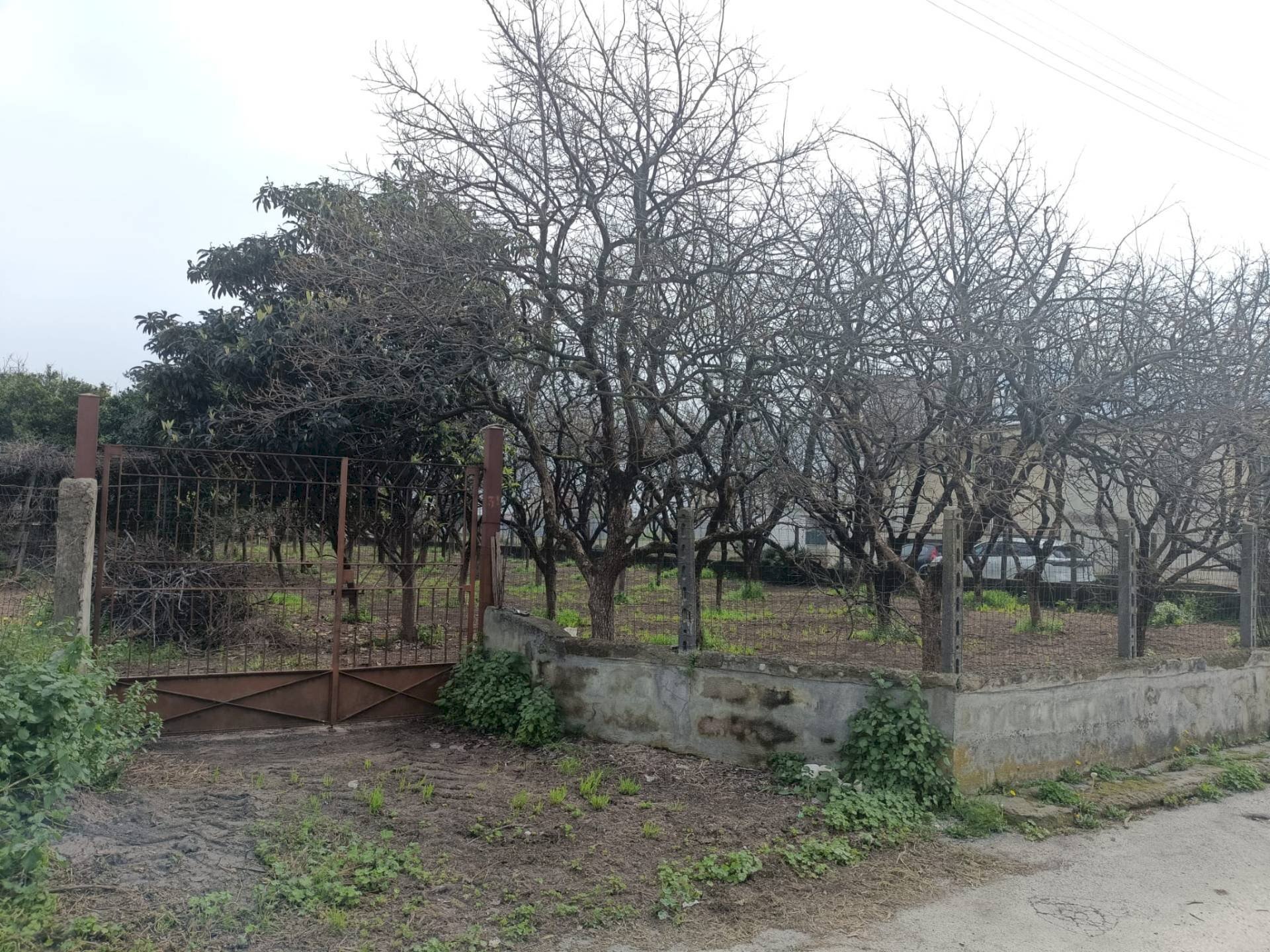 Foto 2 - Agricultural land VIA CRISTOFORO COLOMBO
 
31, Scafati - photo 2