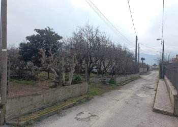 Foto 1 - Agricultural land VIA CRISTOFORO COLOMBO
 
31, Scafati - photo 1