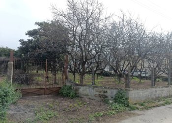 Foto 2 - Agricultural land VIA CRISTOFORO COLOMBO
 
31, Scafati - photo 2