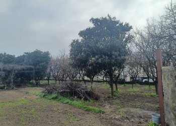 Foto 6 - Agricultural land VIA CRISTOFORO COLOMBO
 
31, Scafati - photo 6