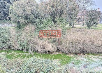 Foto 17 - Ufficio Treviso - foto 17