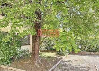 Foto 5 - Ufficio Treviso - foto 5