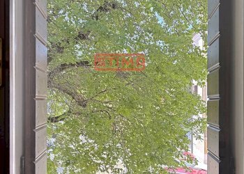 Foto 12 - Ufficio Treviso - foto 12