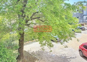 Foto 17 - Ufficio Treviso - foto 17