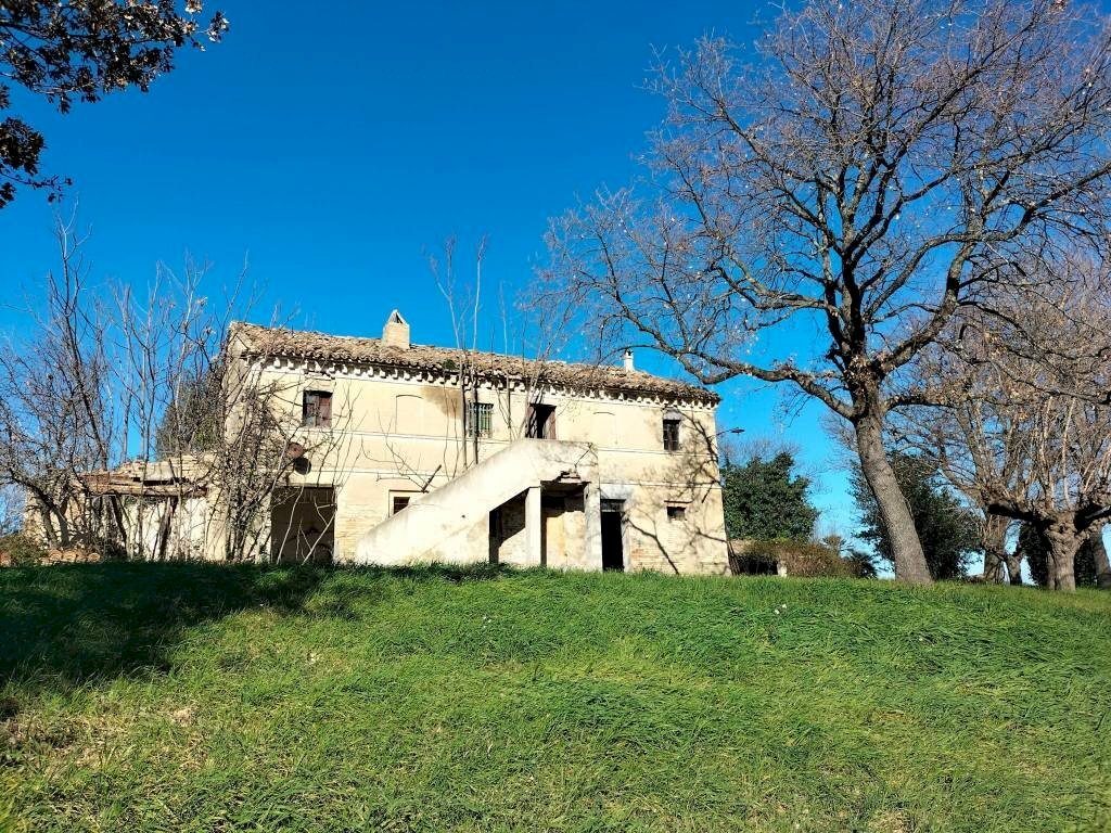 Terreno - Rustico via Molino San Filippo, Osimo - foto 2