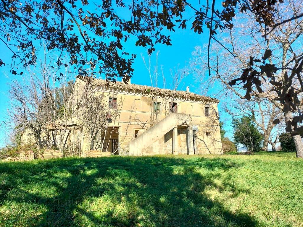 Terreno - Rustico via Molino San Filippo, Osimo - foto 3