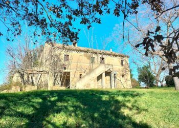 Terreno - Rustico via Molino San Filippo, Osimo - foto 3