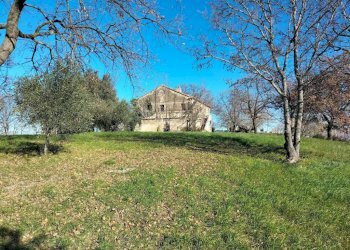 Terreno - Rustico via Molino San Filippo, Osimo - foto 4