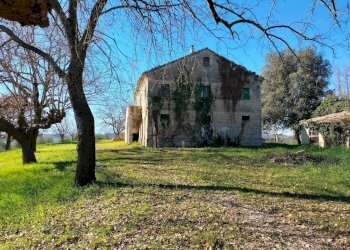 Terreno - Rustico via Molino San Filippo, Osimo - foto 7