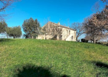 Terreno - Rustico via Molino San Filippo, Osimo - foto 9