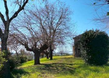 Terreno - Rustico via Molino San Filippo, Osimo - foto 15