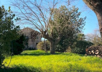 Terreno - Rustico via Molino San Filippo, Osimo - foto 16
