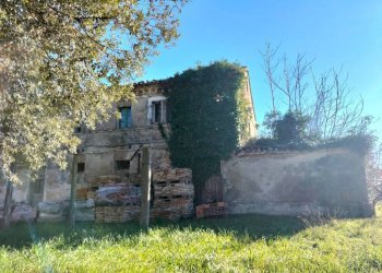Terreno - Rustico via Molino San Filippo, Osimo - foto 17