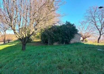 Terreno - Rustico via Molino San Filippo, Osimo - foto 19