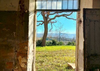 Terreno - Rustico via Molino San Filippo, Osimo - foto 24