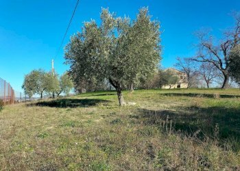 Terreno - Rustico via Molino San Filippo, Osimo - foto 27