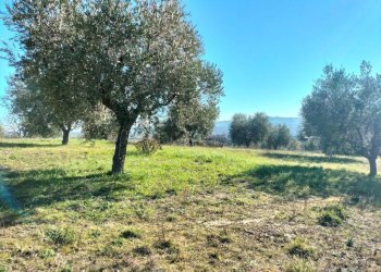 Terreno - Rustico via Molino San Filippo, Osimo - foto 28