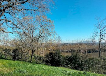 Terreno - Rustico via Molino San Filippo, Osimo - foto 29