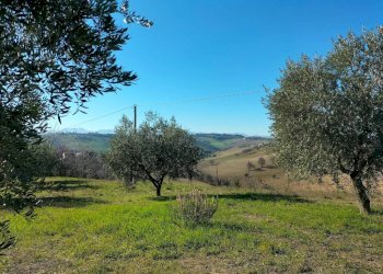 Terreno - Rustico via Molino San Filippo, Osimo - foto 30