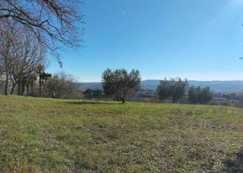 Terreno - Rustico via Molino San Filippo, Osimo - foto 31