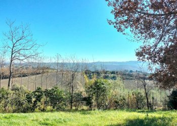 Terreno - Rustico via Molino San Filippo, Osimo - foto 32