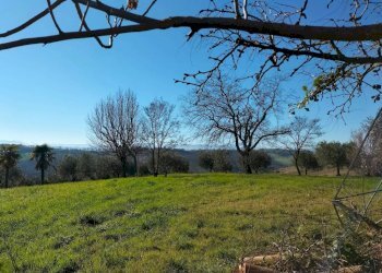 Terreno - Rustico via Molino San Filippo, Osimo - foto 33