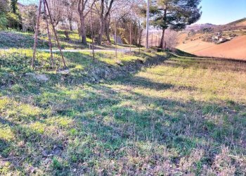 Terreno - Rustico via Molino San Filippo, Osimo - foto 35