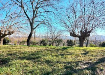 Terreno - Rustico via Molino San Filippo, Osimo - foto 36