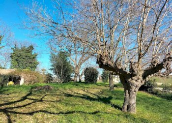 Terreno - Rustico via Molino San Filippo, Osimo - foto 38