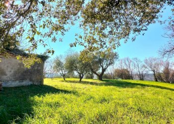 Terreno - Rustico via Molino San Filippo, Osimo - foto 40