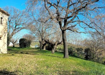Terreno - Rustico via Molino San Filippo, Osimo - foto 41