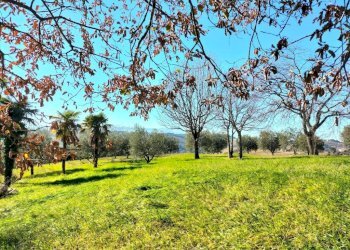 Terreno - Rustico via Molino San Filippo, Osimo - foto 42