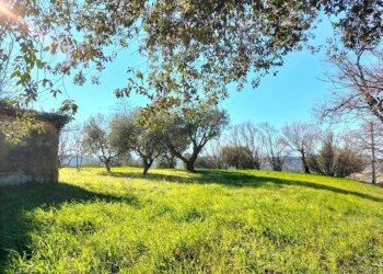 Terreno - Rustico via Molino San Filippo, Osimo - foto 43
