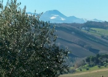 Vista - Rustico via Molino San Filippo, Osimo - foto 46
