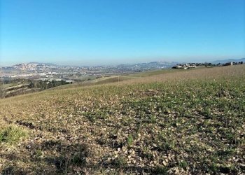 Terreno - Rustico via Molino San Filippo, Osimo - foto 49