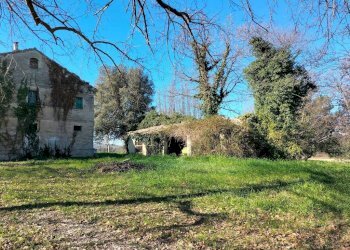 Terreno - Rustico via Molino San Filippo, Osimo - foto 6