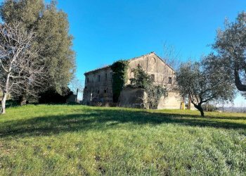 Terreno - Rustico via Molino San Filippo, Osimo - foto 9