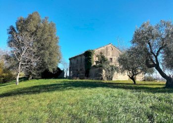 Terreno - Rustico via Molino San Filippo, Osimo - foto 11