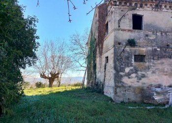 Terreno - Rustico via Molino San Filippo, Osimo - foto 12