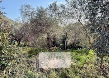 Foto 24 - Villa via Fanny Roncati Carli, Imperia - foto 24