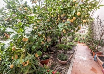 Giardino - Four-room apartment via Francesco Ripandelli, Roma - photo 11