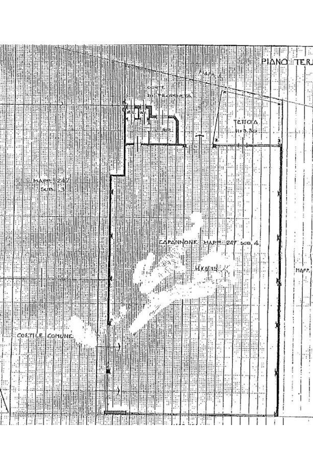 Capannone via Sempione, Pero - planimetria 1