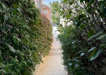 Giardino - Appartamento via Luigi Nuvoloni, 65, Sanremo - foto 35