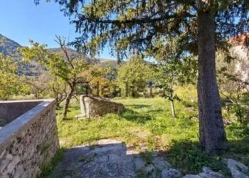 Terreno - Rustico Rione Medichetta, Rivello - foto 39