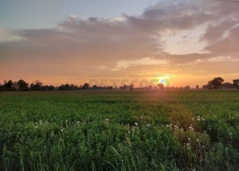 IMG_20220426_200113.jpg - Casale Via Bagnarolo, Gadesco-Pieve Delmona - photo 7