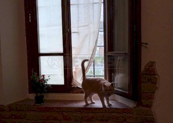 IMG_20231130_130228.jpg - Casale Via Bagnarolo, Gadesco-Pieve Delmona - photo 10