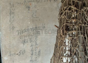 IMG_20251226_133635.jpg - Casale Via Bagnarolo, Gadesco-Pieve Delmona - photo 26