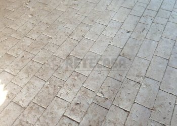 IMG_20251226_134000.jpg - Casale Via Bagnarolo, Gadesco-Pieve Delmona - photo 28