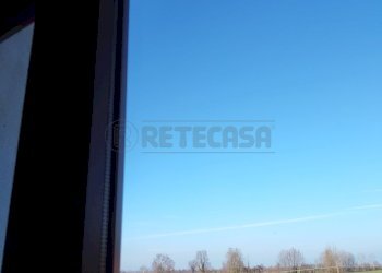 IMG_20251226_134645.jpg - Casale Via Bagnarolo, Gadesco-Pieve Delmona - photo 29